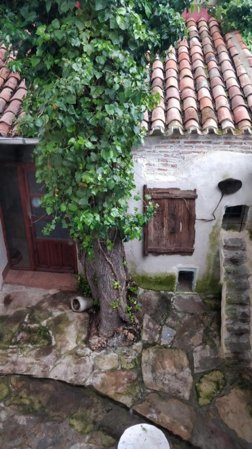 Airam Home Aragon, 7 Almansa Exteriér fotografie